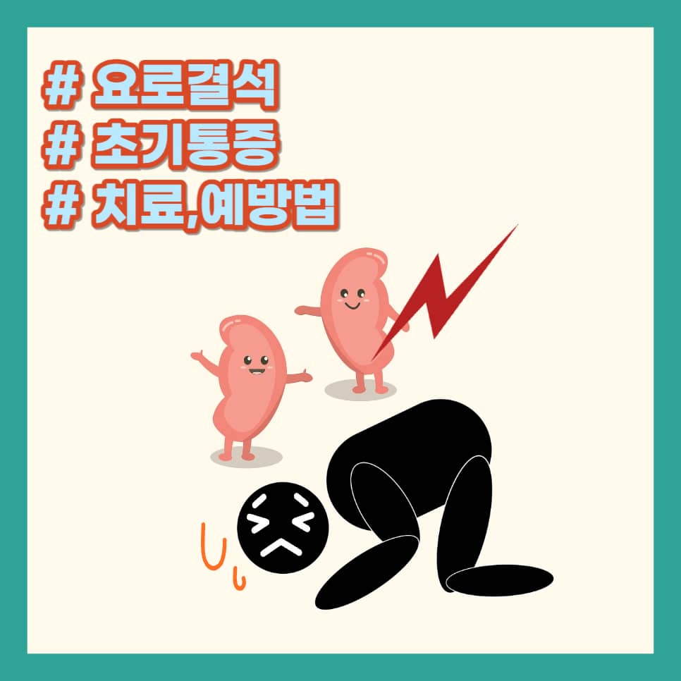 요로결석 초기통증.부위,치료,예방법