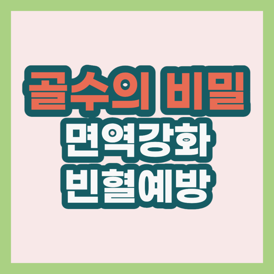 골수의 비밀 면역강화와 빈혈예방