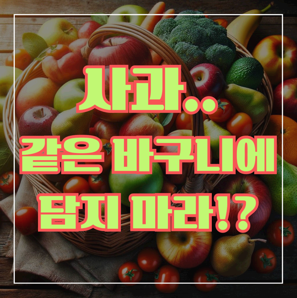 사과 같은 바구니에 담지 마라(썸네일)