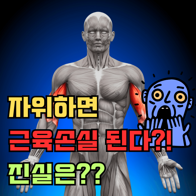 자위하면 근육손실 된다 진실은?