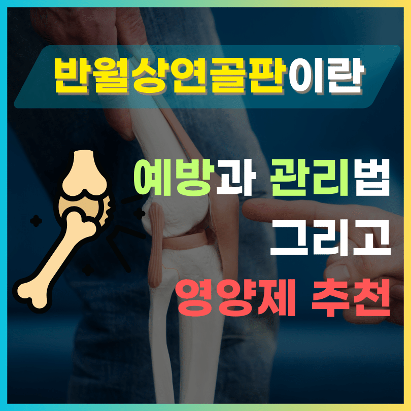 반월상연골판 예방과 관리법 영양제 추천